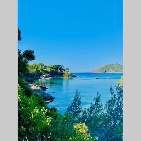Superbe 4 Couchages Avec Terrasse - Clim - 50M De La Mer Saint-Raphaël エクステリア 写真