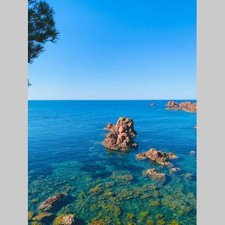 Superbe 4 Couchages Avec Terrasse - Clim - 50M De La Mer Saint-Raphaël エクステリア 写真