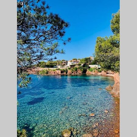 Superbe 4 Couchages Avec Terrasse - Clim - 50M De La Mer Saint-Raphaël エクステリア 写真