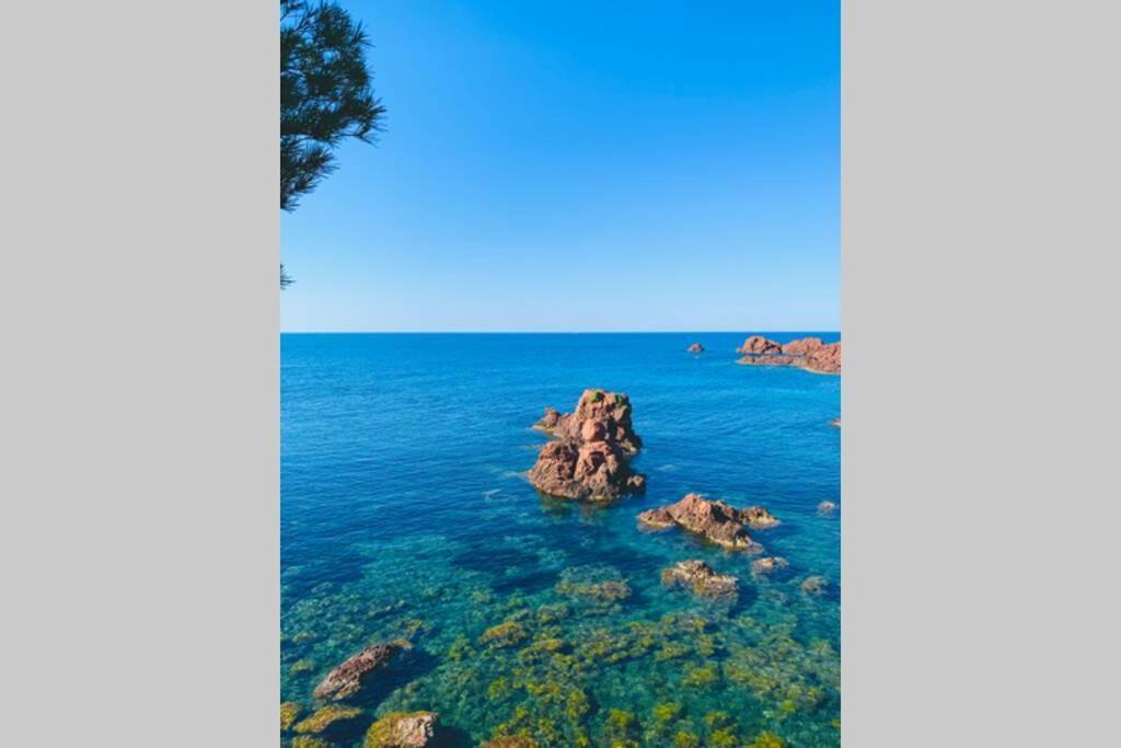 Superbe 4 Couchages Avec Terrasse - Clim - 50M De La Mer Saint-Raphaël エクステリア 写真