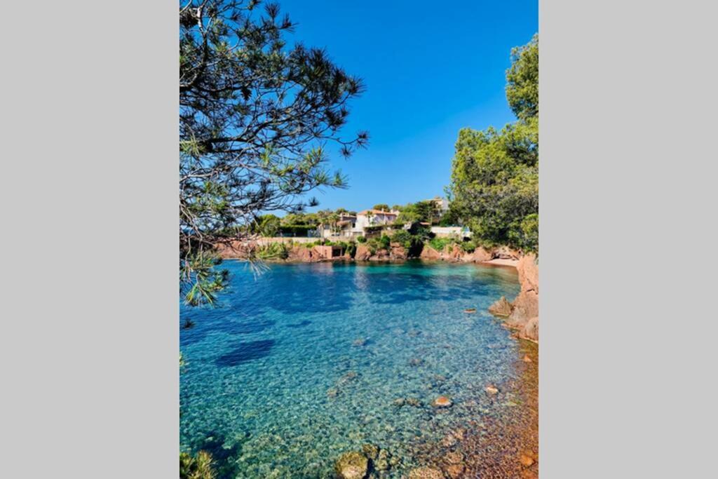 Superbe 4 Couchages Avec Terrasse - Clim - 50M De La Mer Saint-Raphaël エクステリア 写真