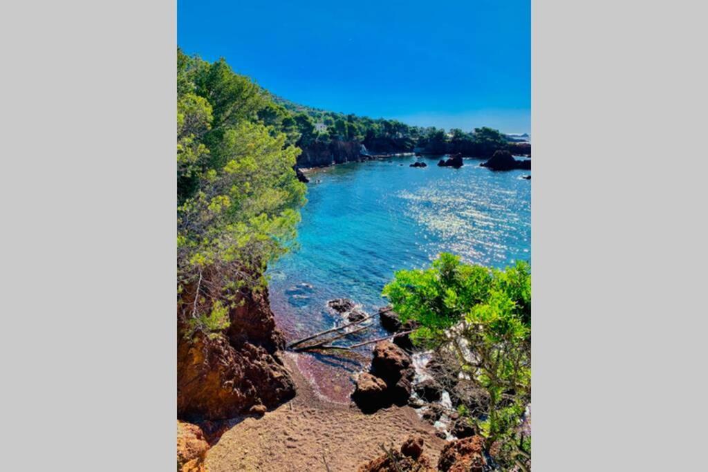 Superbe 4 Couchages Avec Terrasse - Clim - 50M De La Mer Saint-Raphaël エクステリア 写真