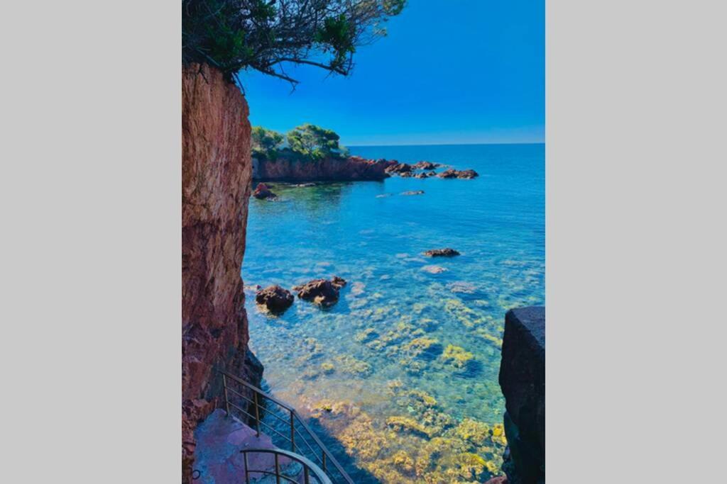 Superbe 4 Couchages Avec Terrasse - Clim - 50M De La Mer Saint-Raphaël エクステリア 写真