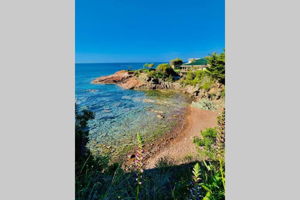 Superbe 4 Couchages Avec Terrasse - Clim - 50M De La Mer Saint-Raphaël エクステリア 写真