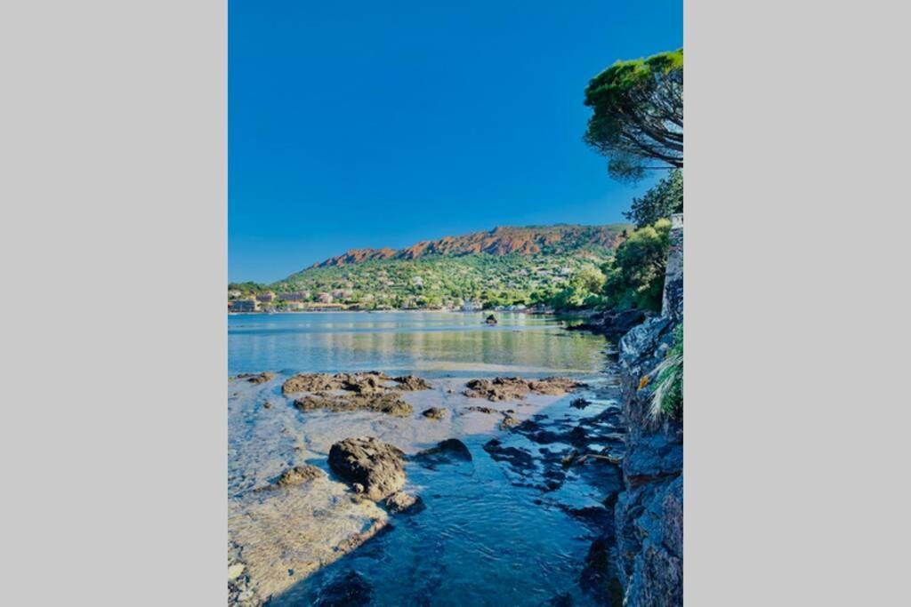 Superbe 4 Couchages Avec Terrasse - Clim - 50M De La Mer Saint-Raphaël エクステリア 写真