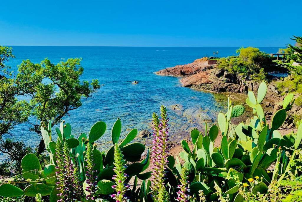 Superbe 4 Couchages Avec Terrasse - Clim - 50M De La Mer Saint-Raphaël エクステリア 写真