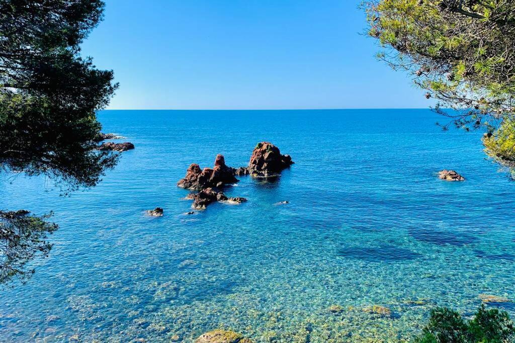 Superbe 4 Couchages Avec Terrasse - Clim - 50M De La Mer Saint-Raphaël エクステリア 写真